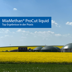 MiaMethan® ProCut liquid Top Ergebnisse in der Praxis